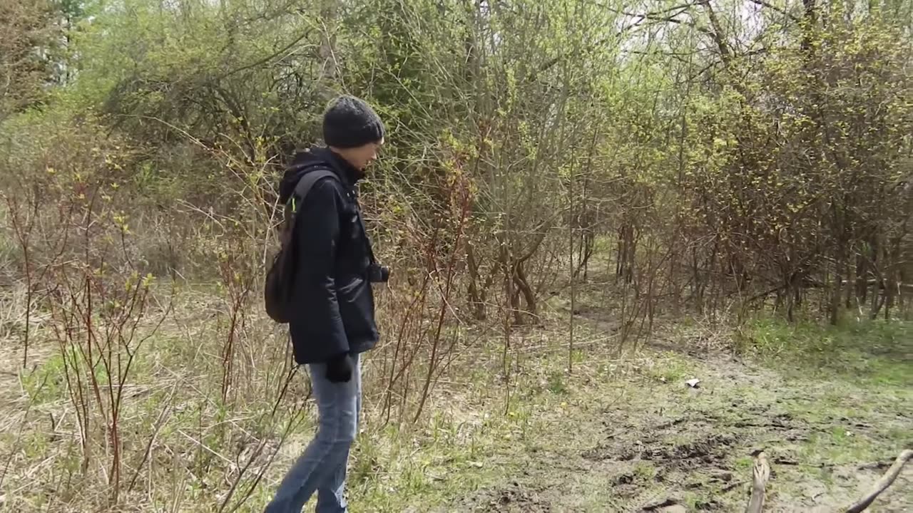 McLaughlin Conservation Park Oshawa Ontario Canada