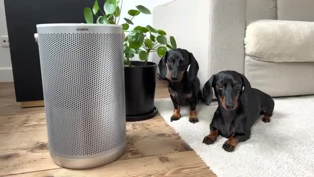 No better test panel than this. Smartmi Air Purifier.
