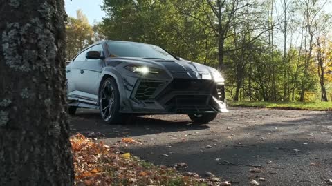 MANSORY Venatus EVO S P900