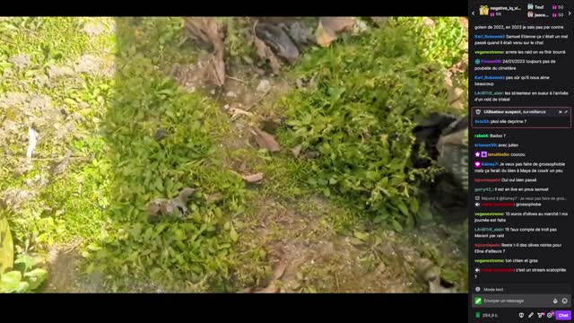 2023-01-24 (1bis) - Insérer un titre ici - Twitch Decheterie (version avec chat)