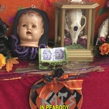 Just when you thought HARVARD couldn't get any worse...