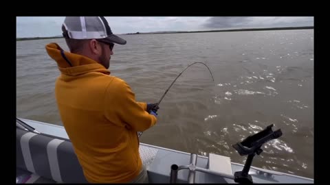 06-10-23 Suisun City, CA - 56” Sturgeon