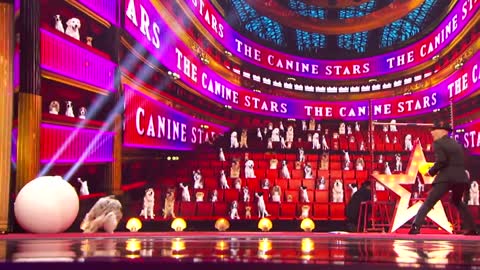 Canine Stars Bring Their Best Dog Performance to AGT! - America's Got Talent 2021