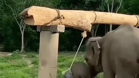 How cute is this🥰🥰