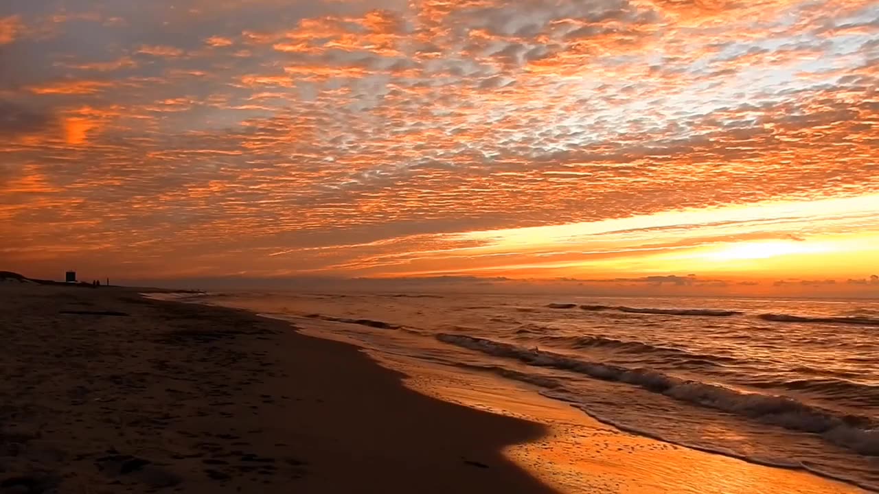 Beach Relax video