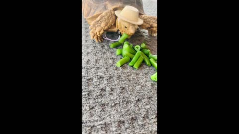 Larry loves green beans