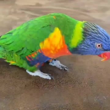 Nothing beats nature