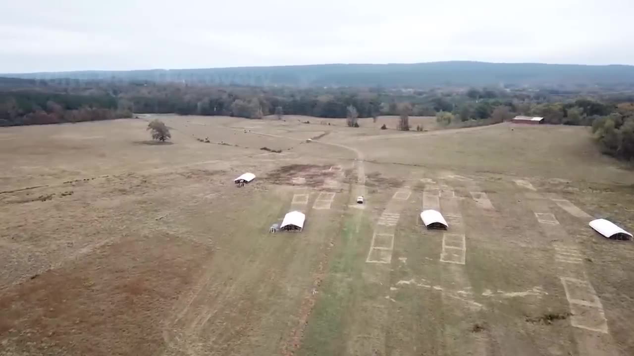 "Sustainable Farming Wonders: How American Farmers Raise Millions of Poultry in Pasture