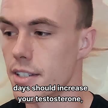 Does ginger increase your testosterone