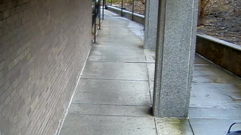8026FCOB01RearDoorEntranceExterior_2021-01-05_16h20min02s580ms.mp4