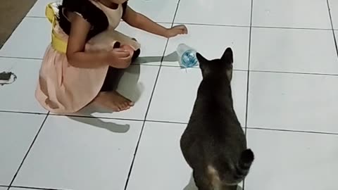 Cat's don't want to drink