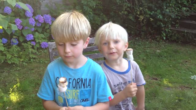 Kids Roast Marshmallows On Barbecue With Their Father And Eat Them