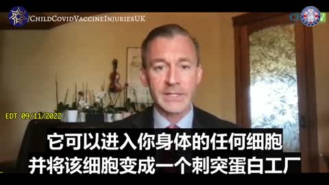 萊恩•科爾醫生：刺突蛋白 是一種毒素。我們正在對人類使用一種危險的產品。