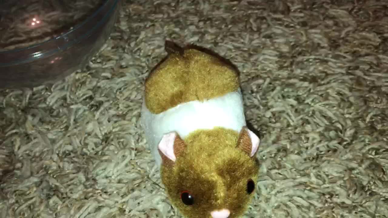 OK Toys animated Scooter Pet Ball.
