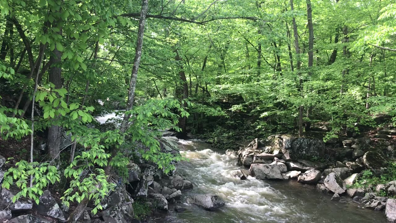 Marsh Creek Settlement