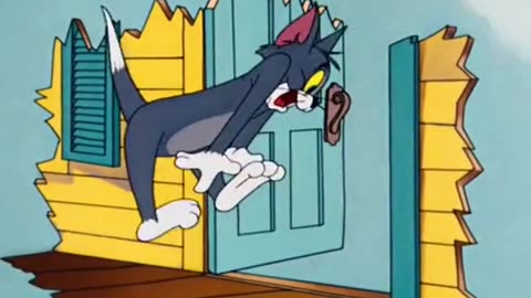 Tom & Jerry Funny Video 😂