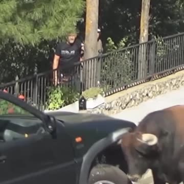 Choose Your Battles Wisely..