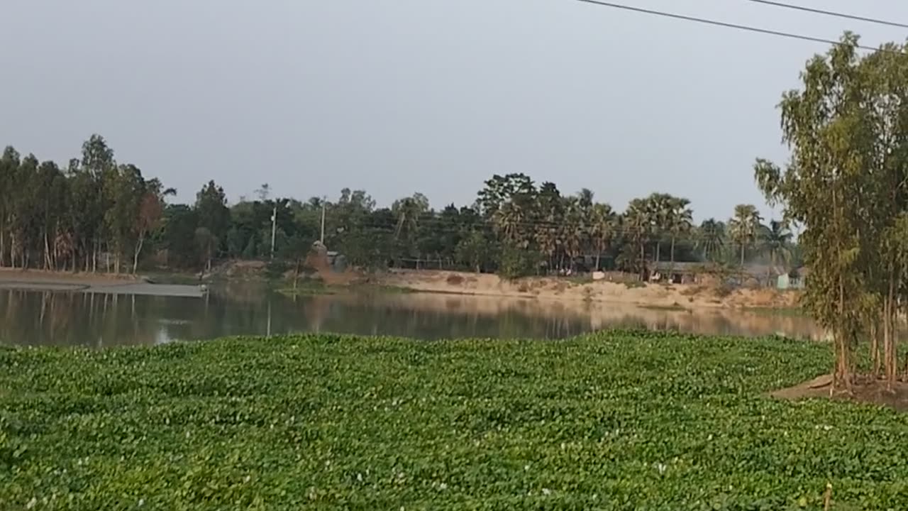 Jarnny To Nature