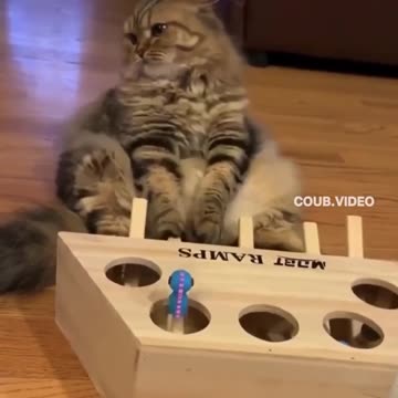 No it's very difficult.