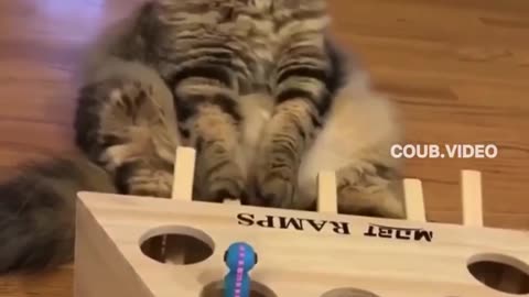 No it's very difficult.