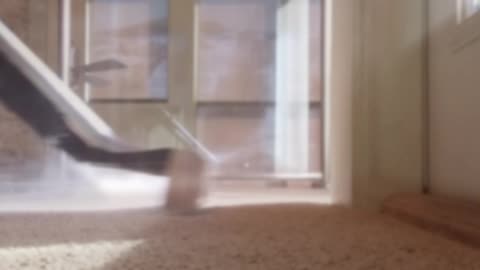 [CARPET CLEANING| HEAT SABER
