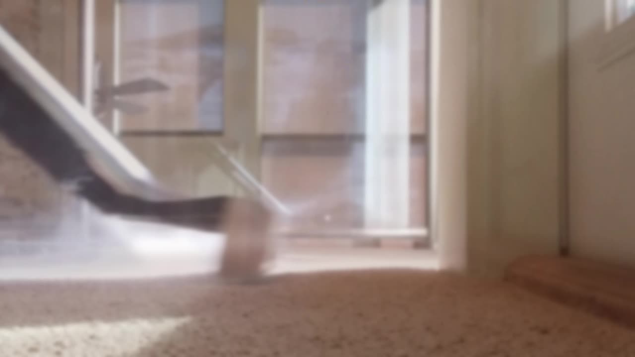 [CARPET CLEANING| HEAT SABER