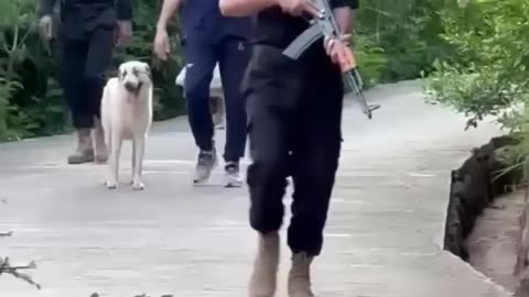 Chairman Imran Khan at Bani Gala