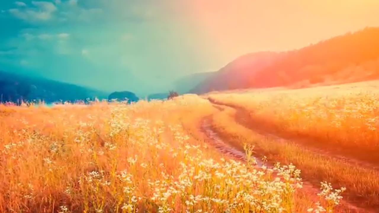 2023 Soft Acoustic Instrumental