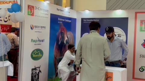 D-Company Stall at Expo Center Lahore