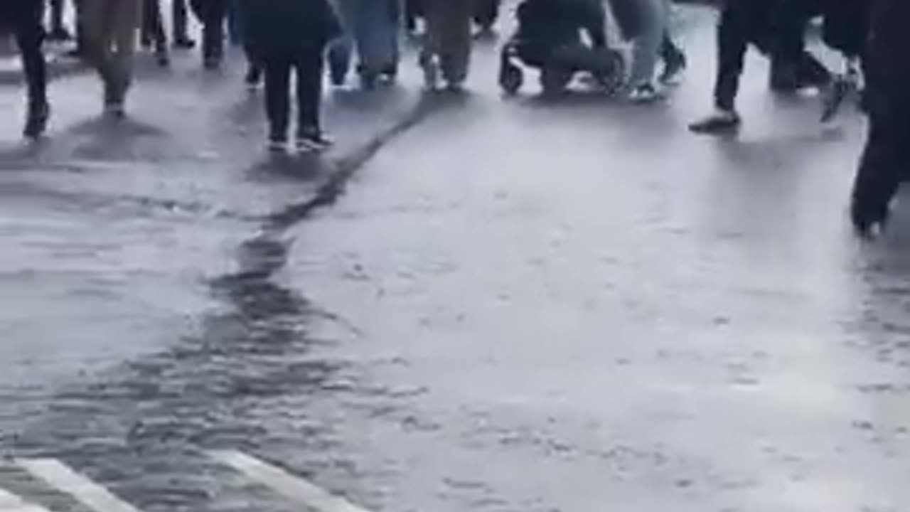 Palästina-Demo London, LGQBT+-Teilnehmer attackiert