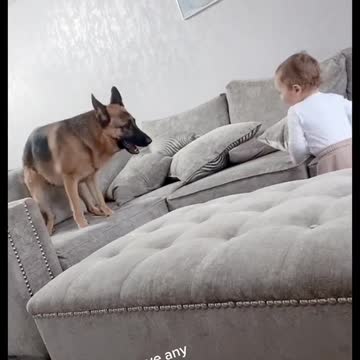 Kids playing with a dog.