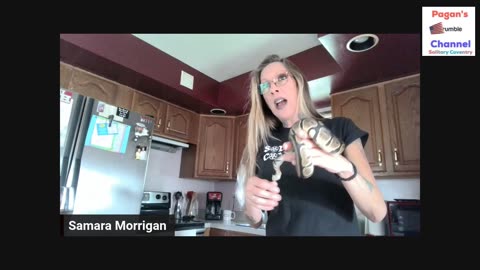 Royal Ball Python. Trying the Injection By Myself
