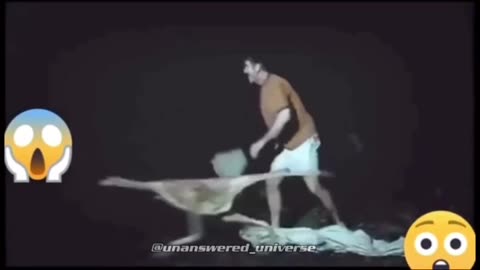 Can you explain what you see?
