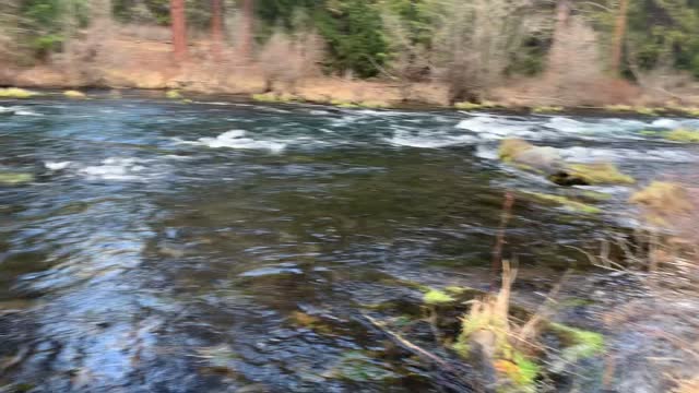 Wizard Falls Fish Hatchery Piping Releasing Chinook Salmon – Metolius River – Central Oregon