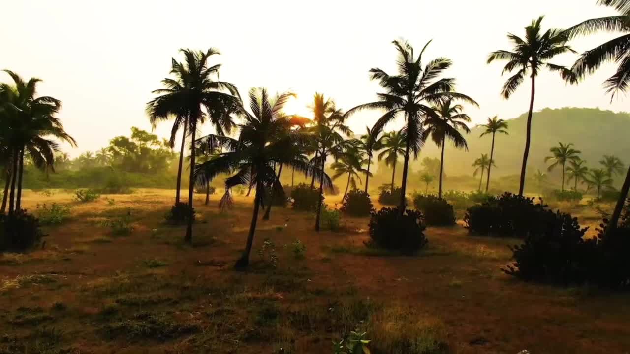 Greetings from India! [TRAVEL IMAGES FOR CINEMATIK]