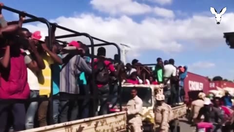 Operation Wetback How Trump Could Mass Deport Biden's Invaders VDARE Video Bulletin