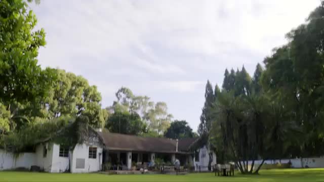 Baby elephant causes havoc at home - BBC_Cut