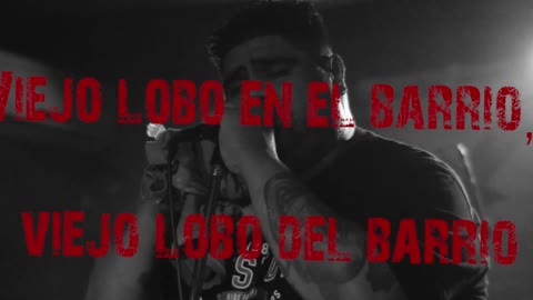 Dos razones rock - Viejo lobo.