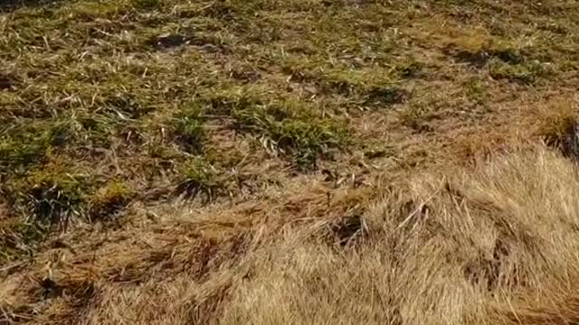 Ebey’s Landing overlook