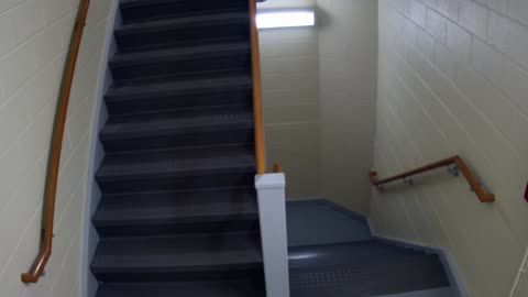 3889FHOB05Stair10_2021-01-06_14h40min01s723ms.mp4