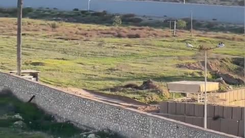 Egypt Constructed 5 Border Walls With Israel