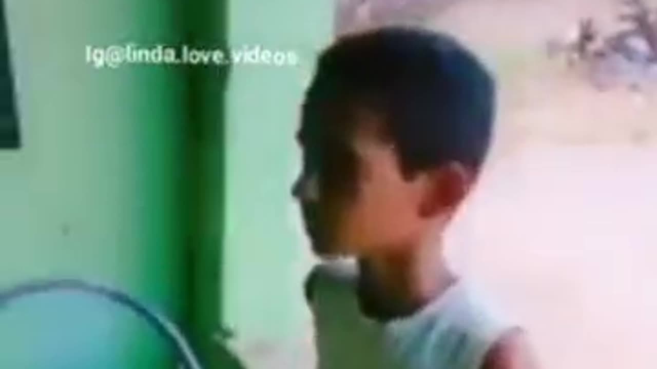 Vídeo bom