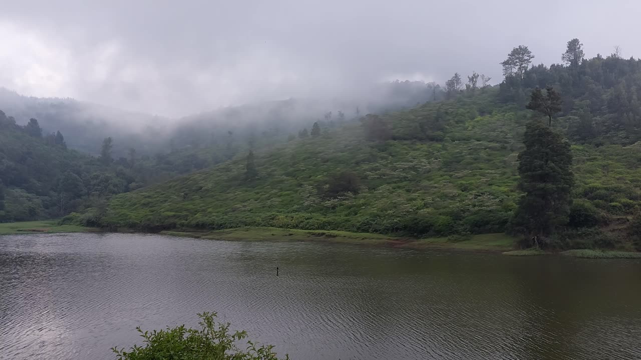 The Nilgiris