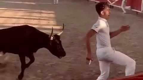 Amazing talent how to escape from cow