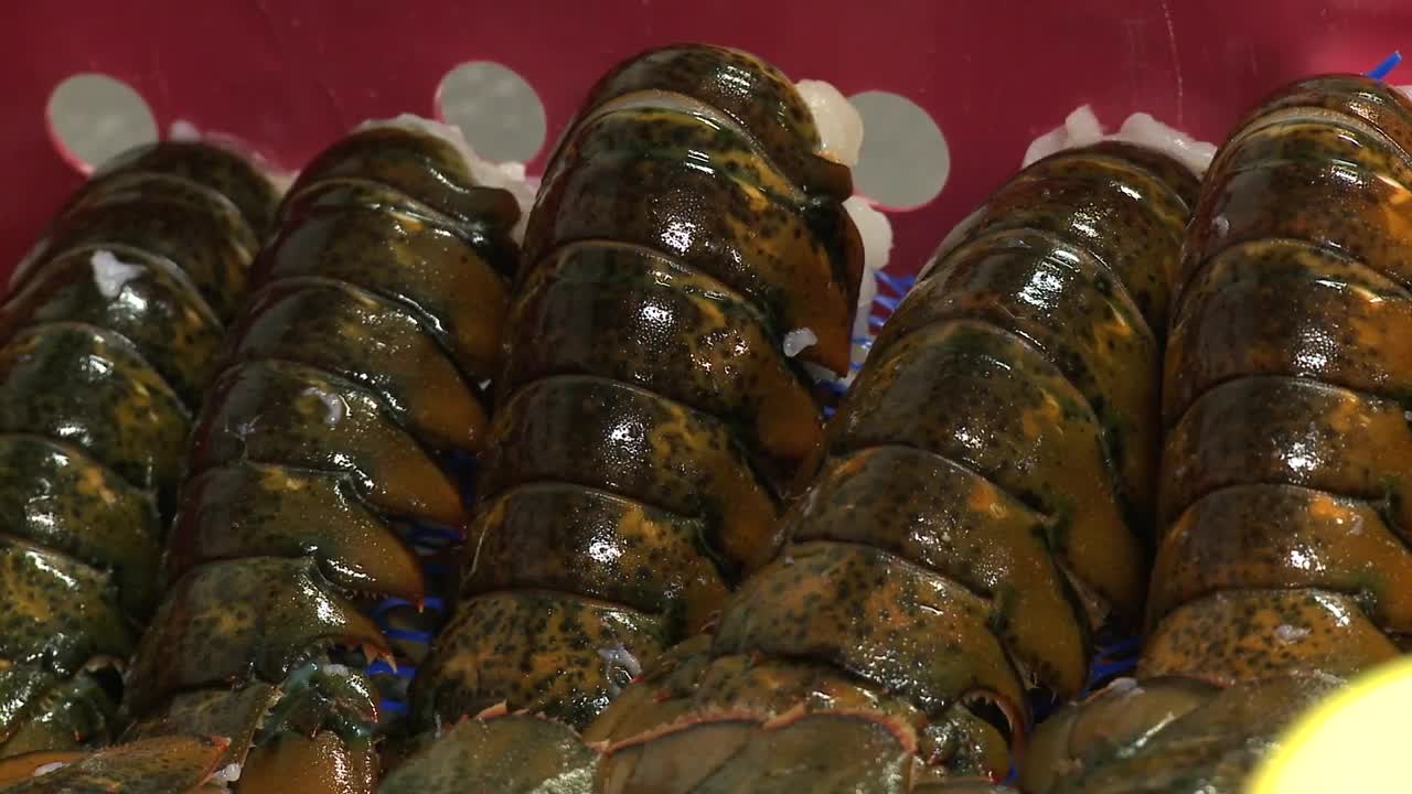 Découvrez l'industrie de la pêche aux Îles-de-la-Madeleine, Québec, Canada