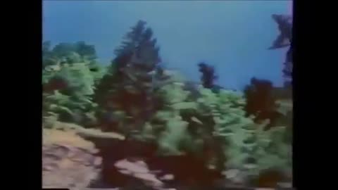 BIGFOOT MAN OR BEAST : ROBERT MORGAN