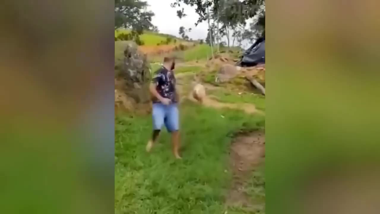 Funny Cute Animals