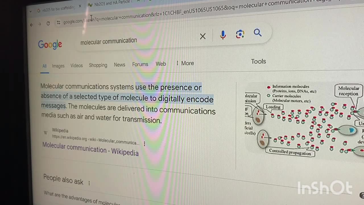 Tissue Scaffolding & Molecular Communication - What Do You Know About It?