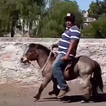 A big man on a small horse