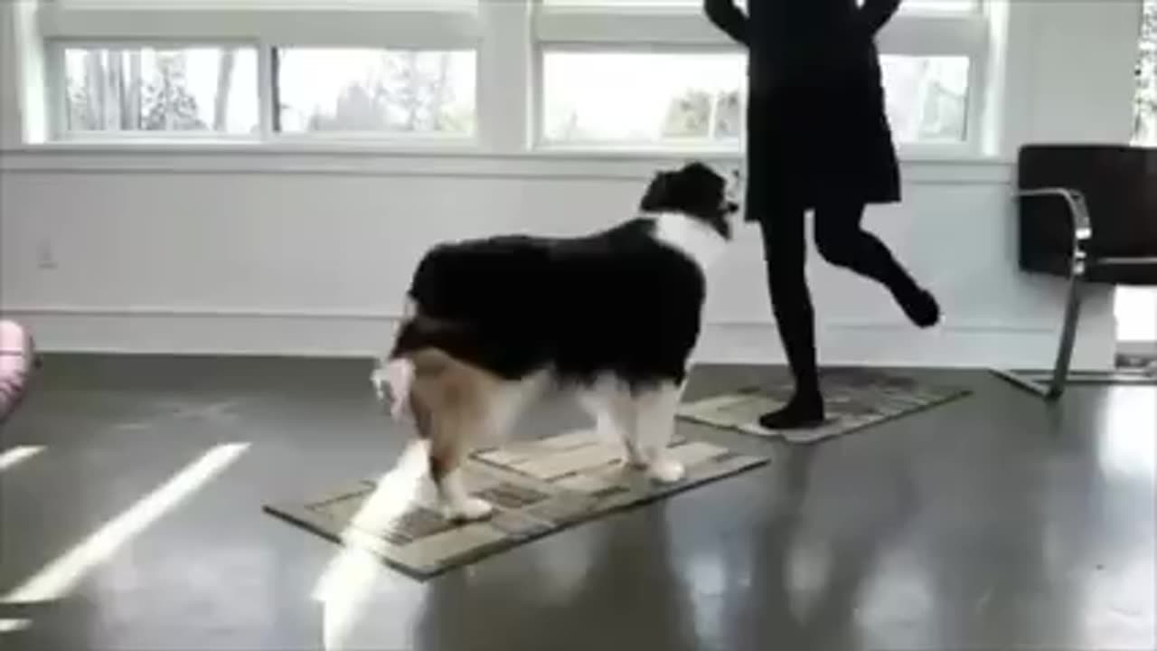 "Paws and Poses: Dog and Girl Yoga Adventure πΎπ§ββοΈ"